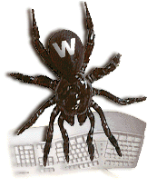 ���� ��������?